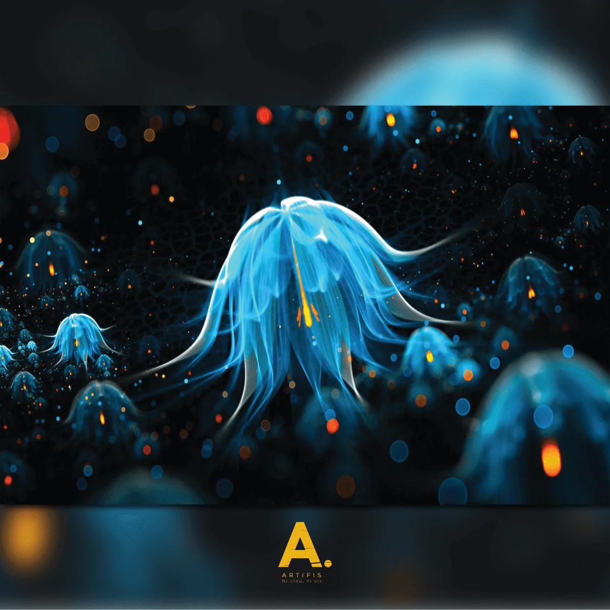 Meduse