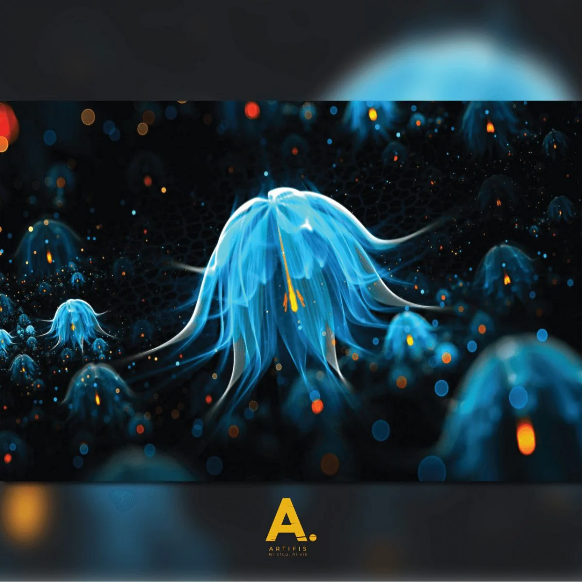 Meduse